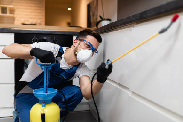 Best Local Pest Control Services  in Tyndall Af, FL