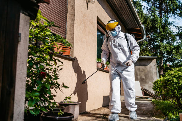 Best Wildlife Control Services  in Tyndall Af, FL