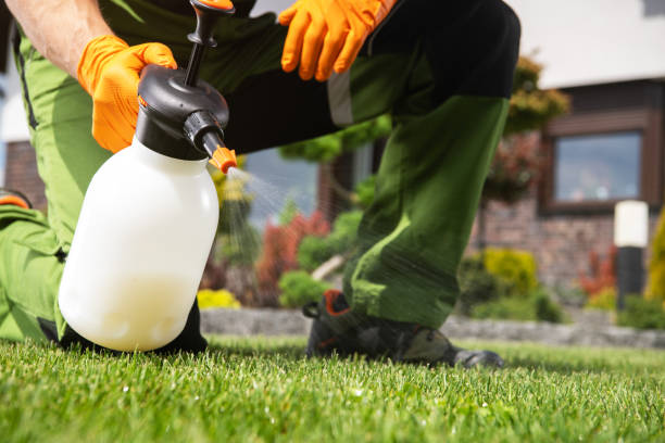 Best Best Pest Control Companies  in Tyndall Af, FL