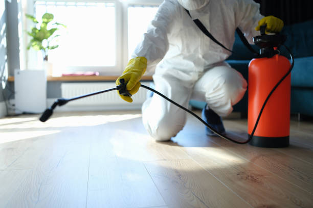 Best Termite Control Services  in Tyndall Af, FL