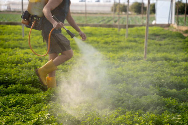 Best Pest Control for Businesses  in Tyndall Af, FL