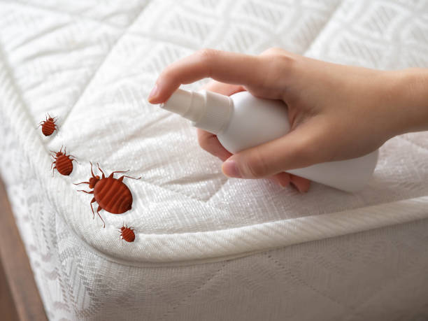 Professional Pest Control in Tyndall Af, FL