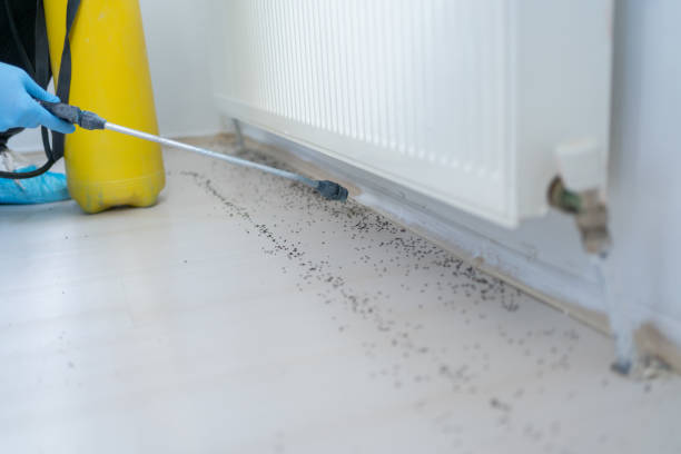 Best Wasp Removal Services  in Tyndall Af, FL